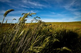 5892727777_1473605079