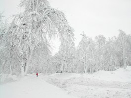 2182376536_87a875701e