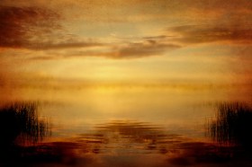 8426831125_ca89d9643a