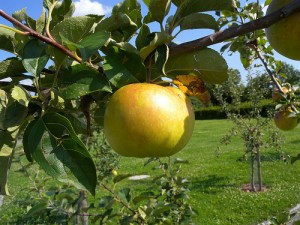 One Determined Day At A&nbsp;Time