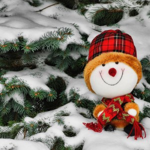 Staying Sober During the Holidays