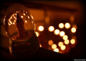 11209828874_fba9c0fa35