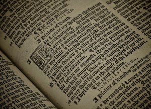 A Picture of Psalms in the Bible