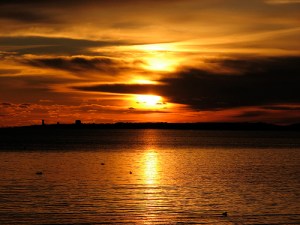 2092581317_5990a63d81