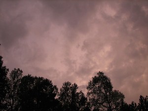 282536042_7fbcf7f726