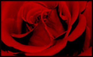 2280790399_2c510ebabf