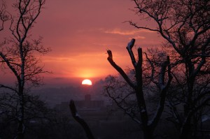 Nature’s Spectacle – A Poem About Morning and&nbsp;Dawn