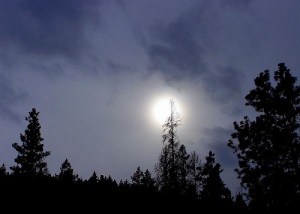 2222285988_24bdeb6770