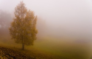 What the Heart Heard – A&nbsp;Poem