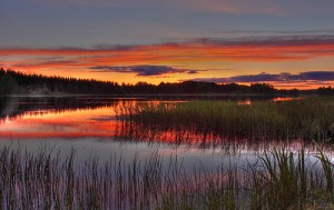 Prayer for Forgiveness of Sins, Renewal and&nbsp;Repentance