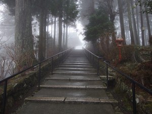 stairs walking up a mountain,  symbolizing success or hard work