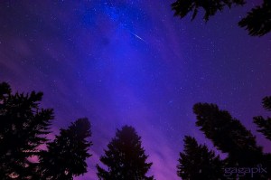 Pursuing Your Dreams and Reaching For the&nbsp;Stars