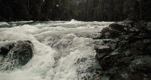 Today is the Day – A Poem About Conquering Fear and Living Your&nbsp;Dreams