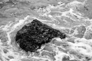 11674077525_a9d66fd41d