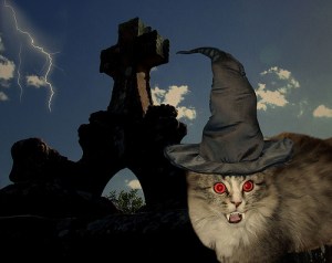 This Is Halloween – A Spooky, Scary Children’s Poem For&nbsp;Halloween