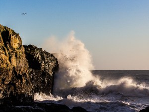 8422042207_1afb4fbd0e