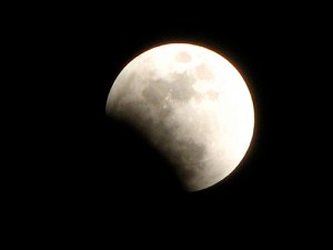 2282074048_5659595082