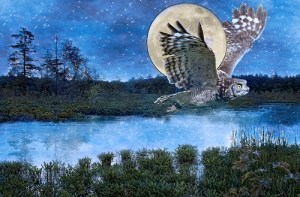 There’s Wisdom In Silence – A Poem of&nbsp;Contemplation