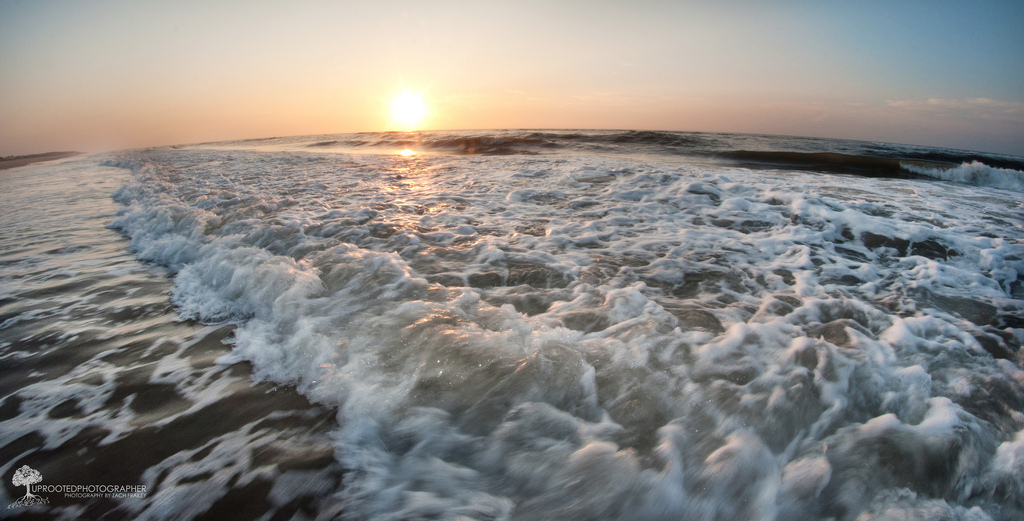 7825354898_86e4b3b411_b