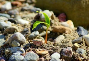 Godly Christian Poem About Change Growth and New&nbsp;Beginnings