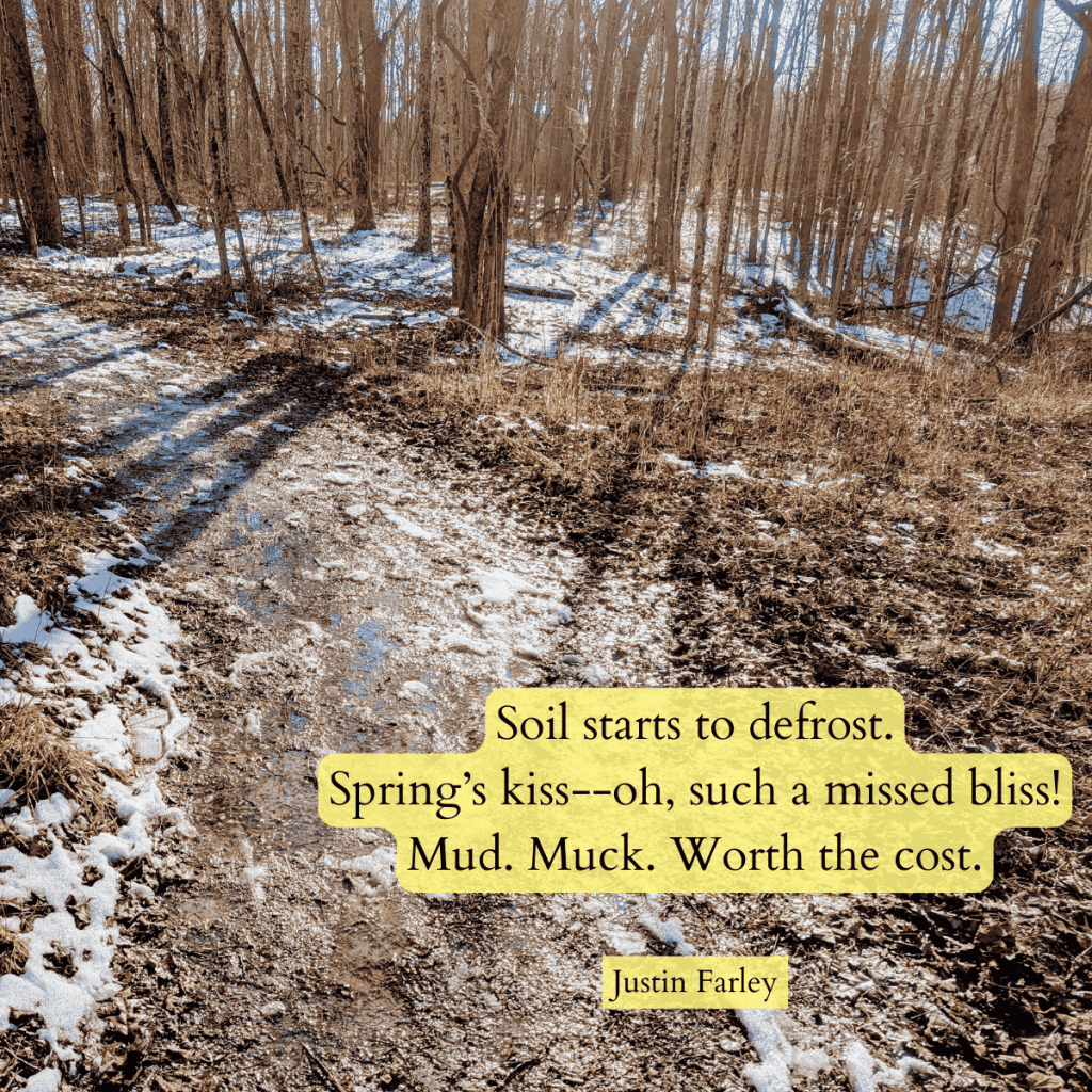 A picture of snow dethawing in the forest on an early spring day. A haiku poem about winter ending and spring beginning sits atop the image by Justin Farley.
