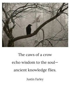 an image of a short nature haiku poem about the American Crow that sits below an eerie image of black crow on a tree branch in a misty forest. The image reflects the mystery of the poem. This 5-7-5 rhyming haiku example reads: "The caws of a crow / echo wisdom to the soul-- / ancient knowledge flies. // Justin Farley".