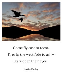 an image of a short bird haiku poem about Canadian geese, stars, and dusk that sits below an image of a two geese flying at dusk. The 5-7-5 haiku reads: "Geese fly east to roost. / Fires in the west fade to ash -- / Stars open their eyes. // Justin Farley".