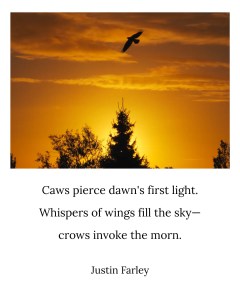 A silhouetted crow flying across a sunrise sky with the haiku overlay: “Caws pierce dawn’s first light / Whispers of wings fill the sky— / crows invoke the morn. // Justin Farley.”