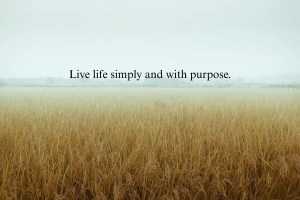 a field of tall grass symbolizing a simple life with text overlay that reads, "Live life simply and with purpose."