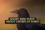 A Morning Haiku Poem About Crows At&nbsp;Sunrise