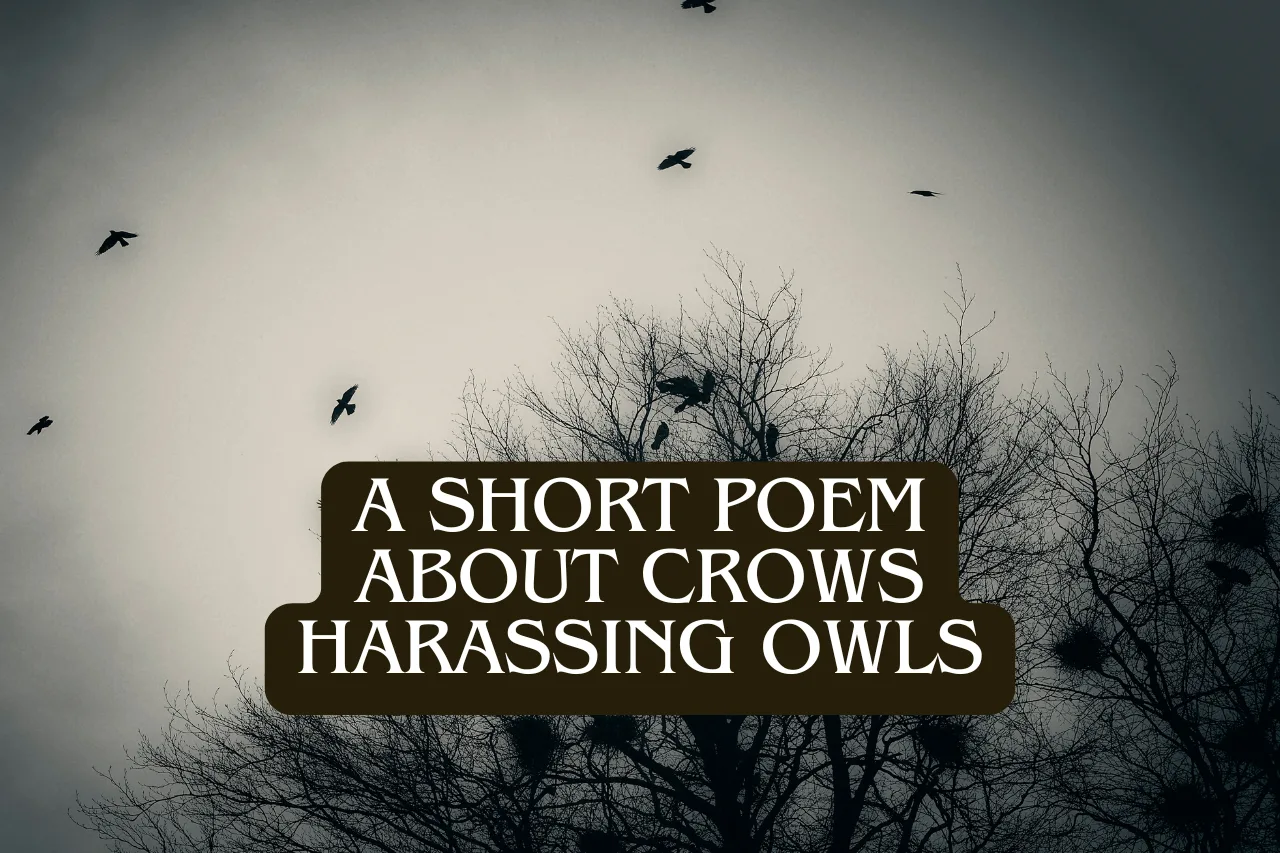 A flock of crows flying above bare trees with overlay text: 'A Short Poem About Crows Harassing Owls'.
