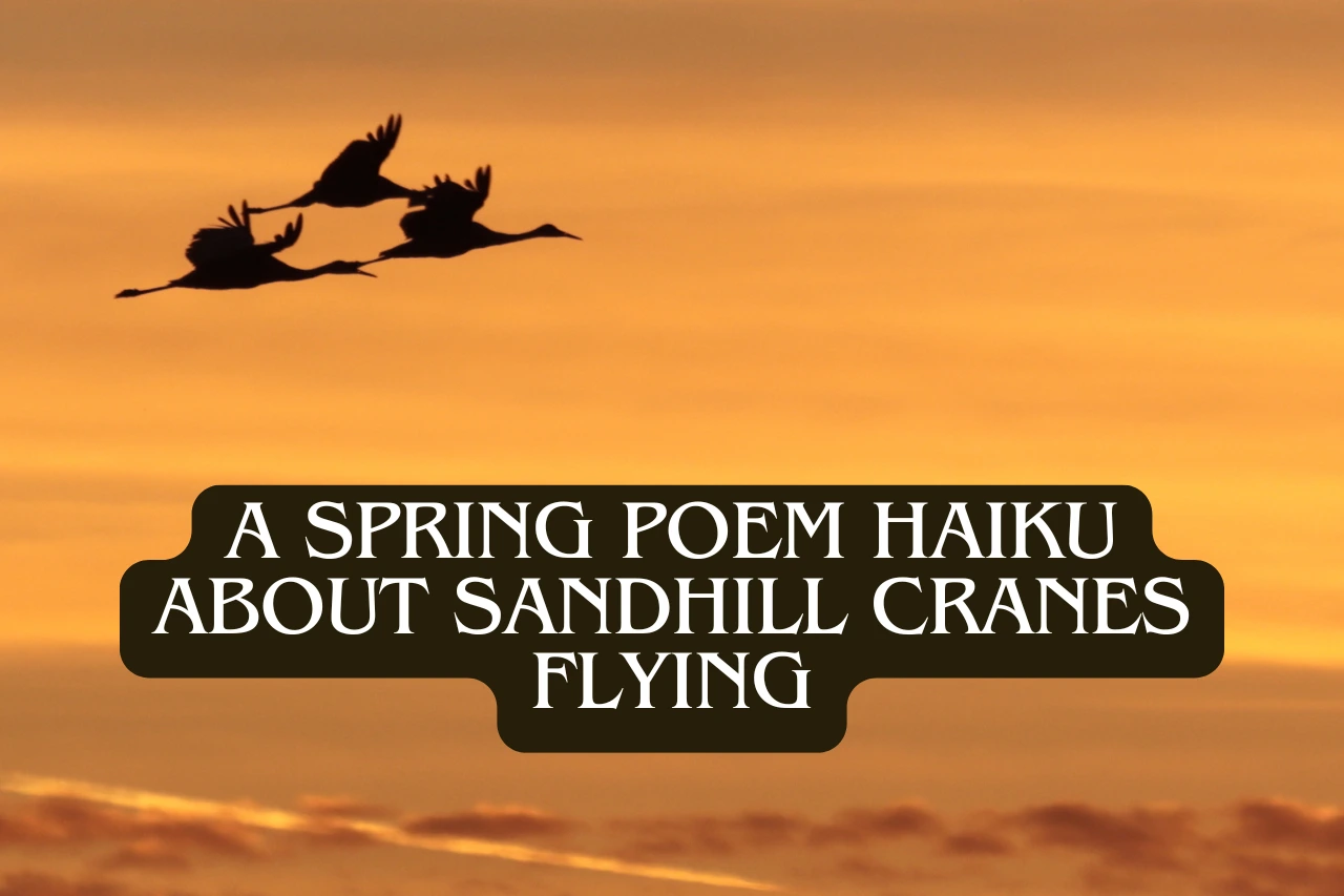 A featured hero image with three Sandhill Cranes flying across an orange sunset sky with the words "A Spring Poem Haiku About Sandhill Cranes Flying" appearing at the bottom of the image.